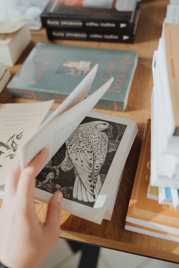 gallery-2 Hand flipping through a book with intricate bird illustrations in a cozy setting.